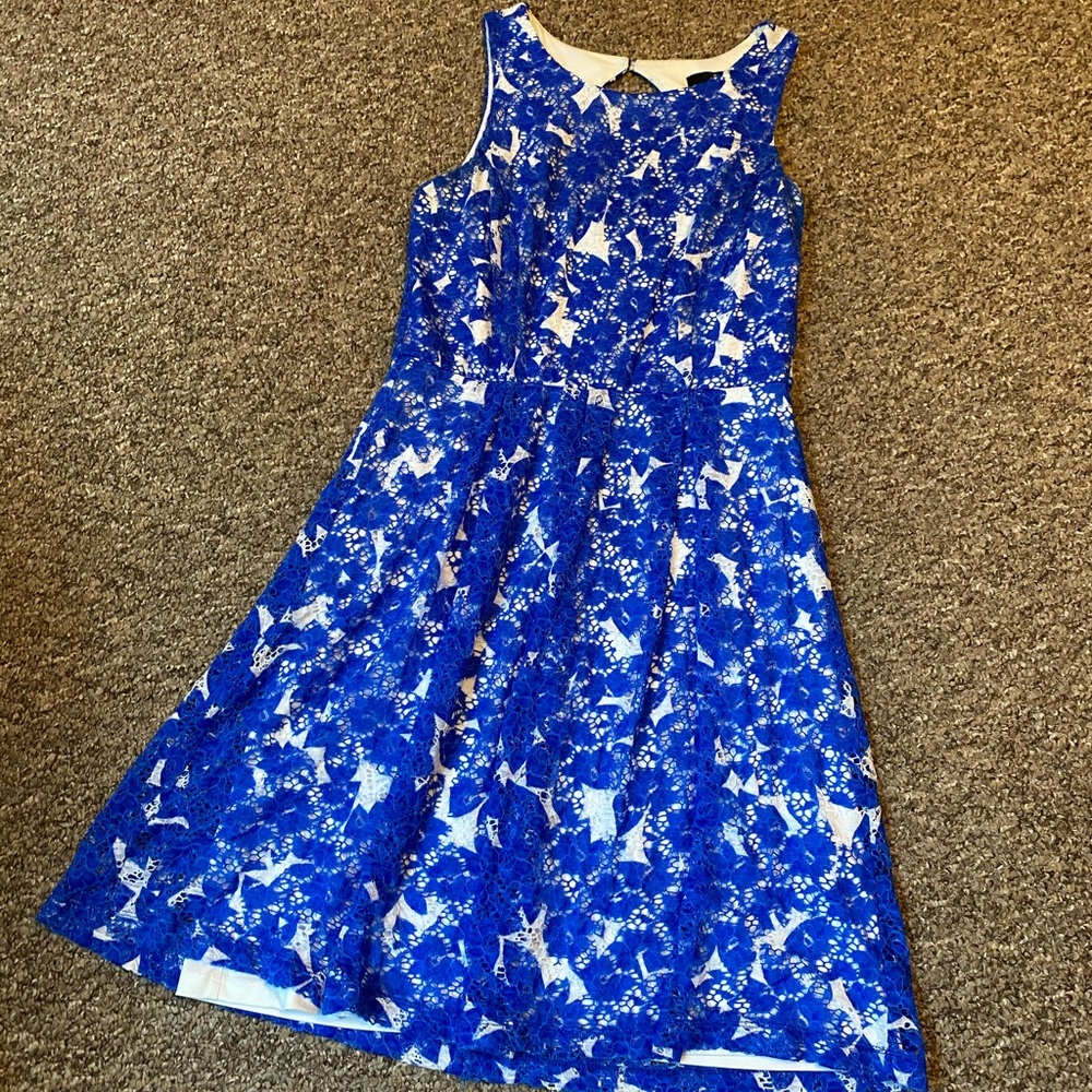 Women’s Blue Lace Dress